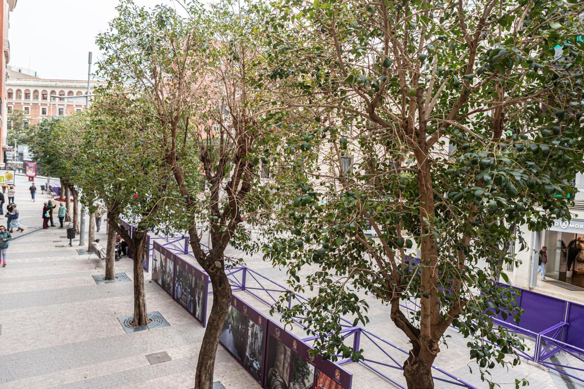 Royar Apartamentos Jaén Exterior foto